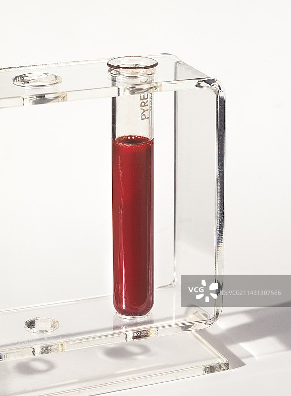 待分析的试管血液样本图片素材