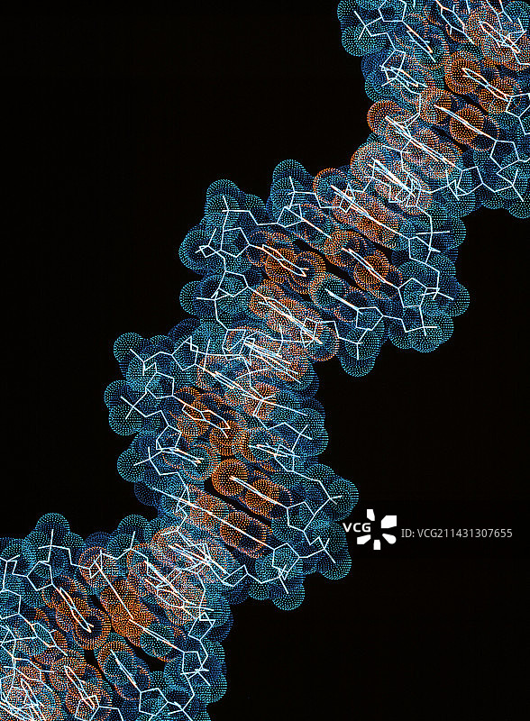 β-DNA片段的计算机图图片素材