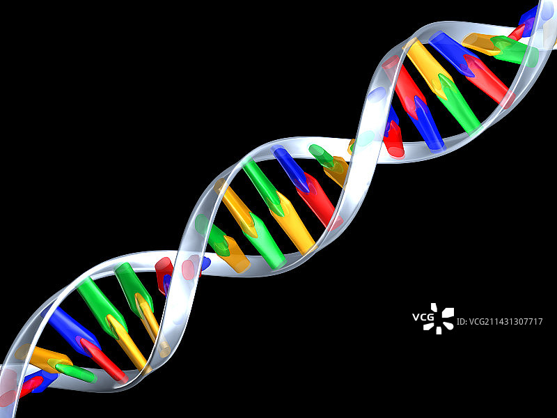 DNA图片素材