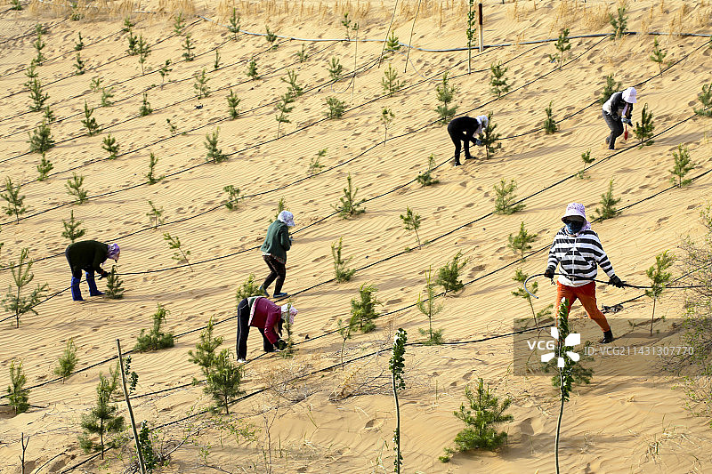 中国绿色长城图片素材