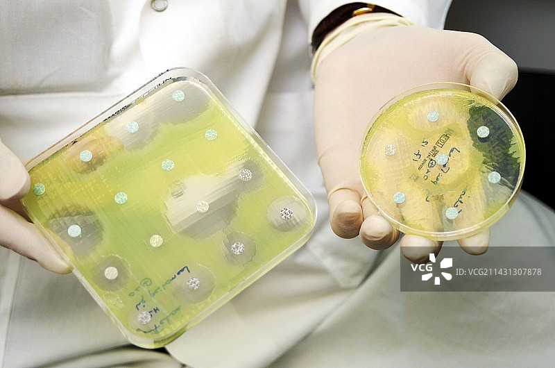 抗生素测试图片素材