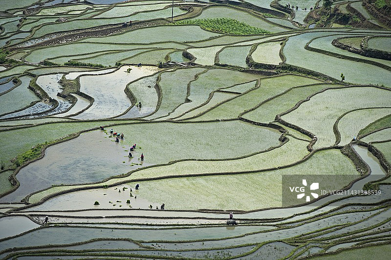 中国元阳哈尼梯田图片素材