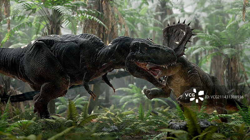 霸王龙大战三角龙插画图片素材