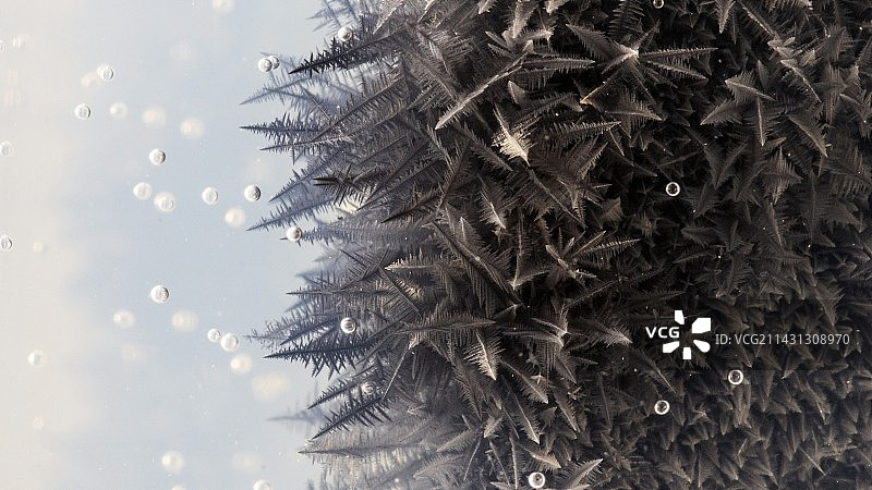 锌与硝酸铅反应图片素材