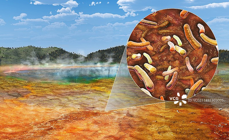 嗜热和硫的极端微生物图片素材