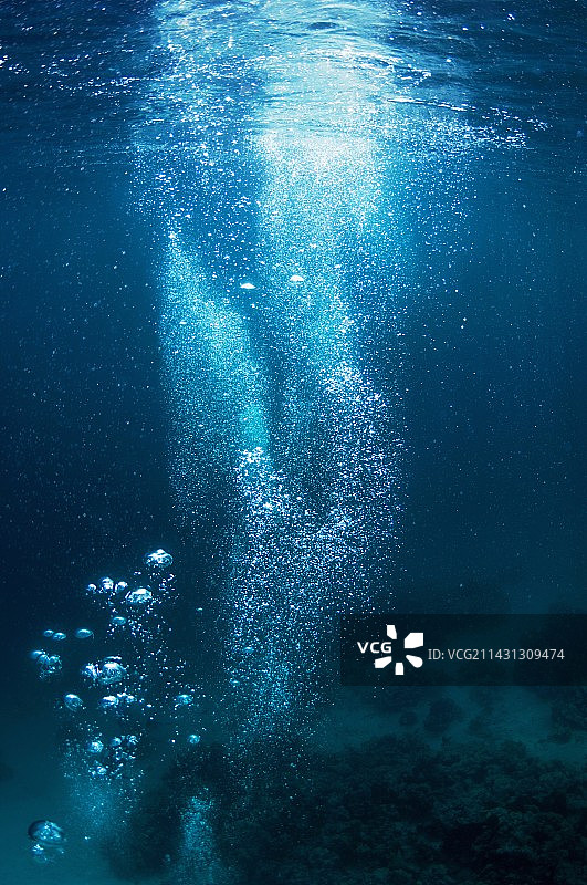 潜水员的气泡图片素材