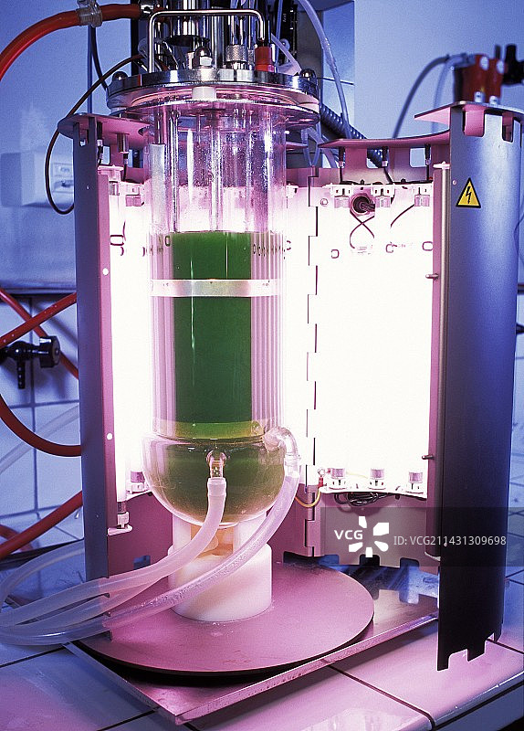 藻类太空食品研究图片素材