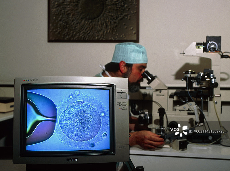 体外受精：卵子注射精子图片素材