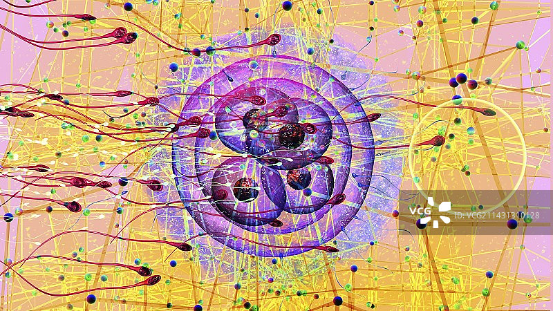 人类受精抽象图图片素材