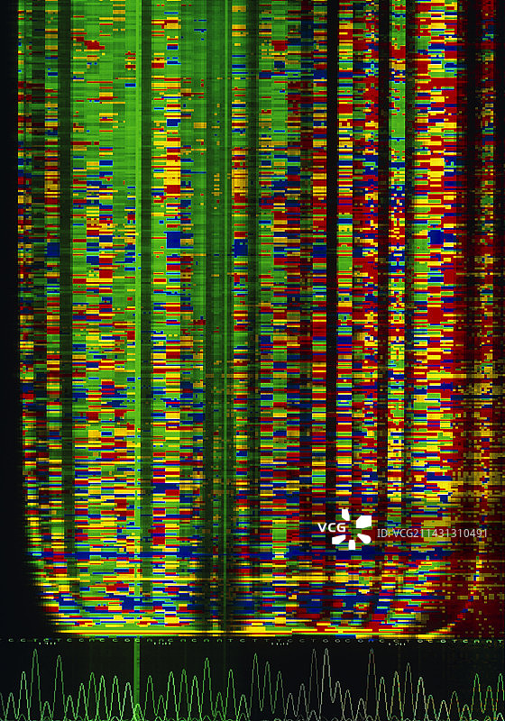 DNA序列图片素材