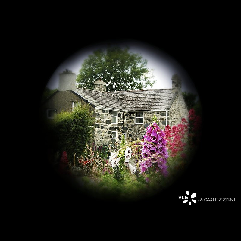 青光眼图片素材