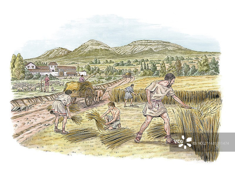 罗马农业艺术作品图片素材