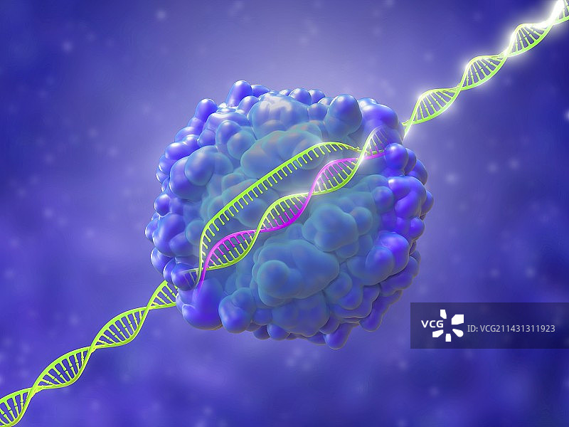 CRISPR-Cas9基因编辑复合体插图图片素材