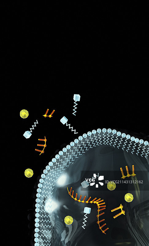 进化中的原细胞图片素材