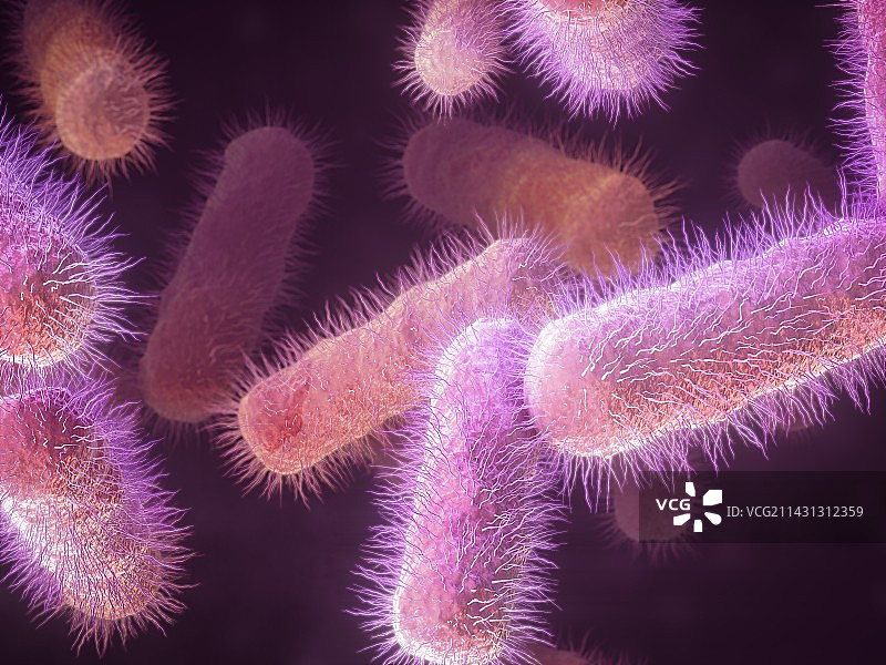 大肠杆菌细菌，图示图片素材