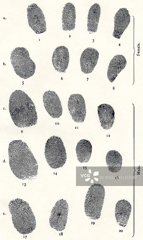 指纹套装图片素材