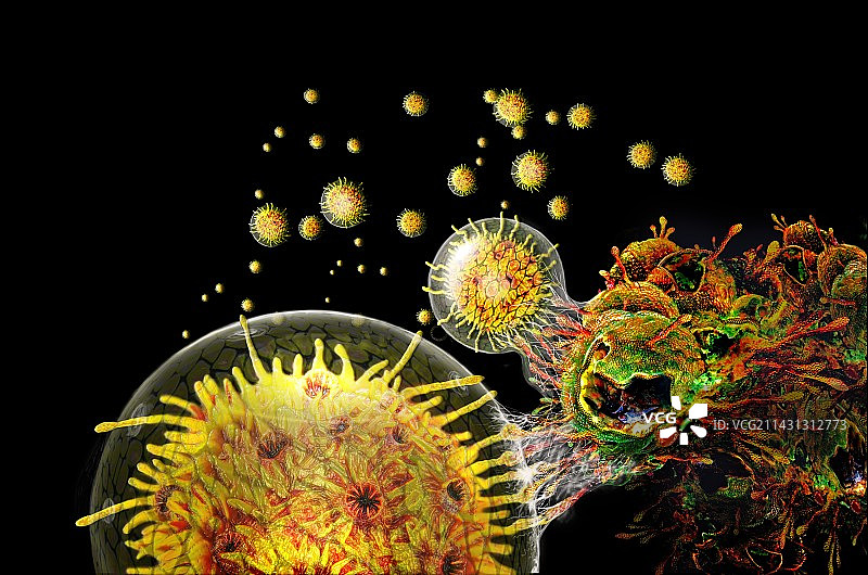 T细胞攻击癌细胞插图图片素材