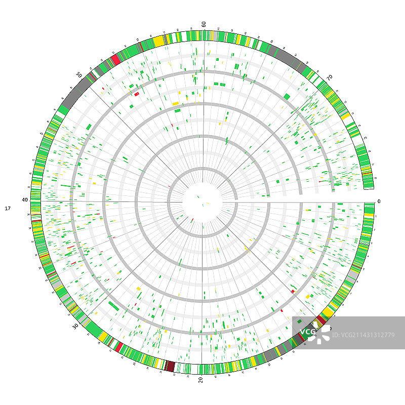圆形基因图图片素材