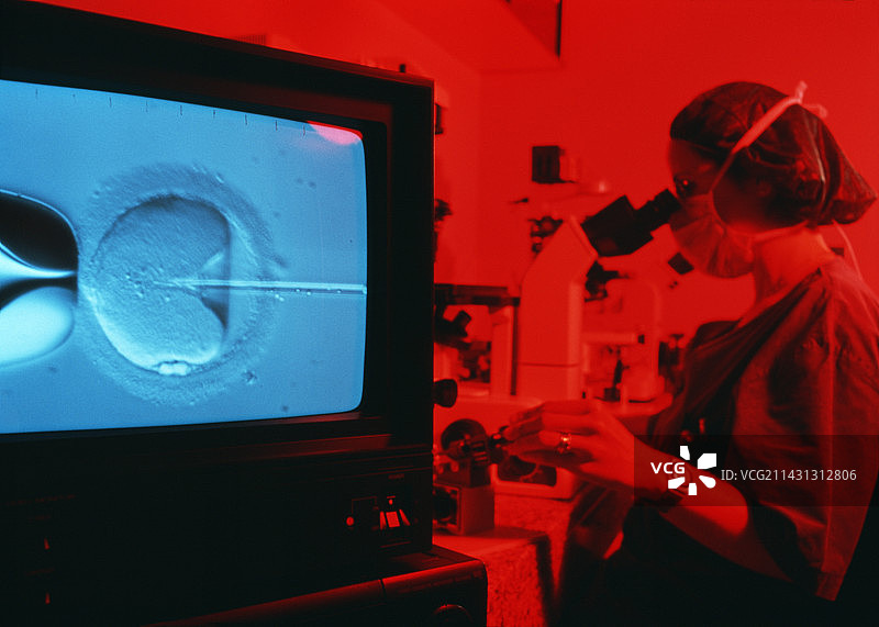 体外受精图片素材