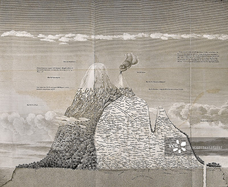 安第斯山脉植物地理插画图片素材