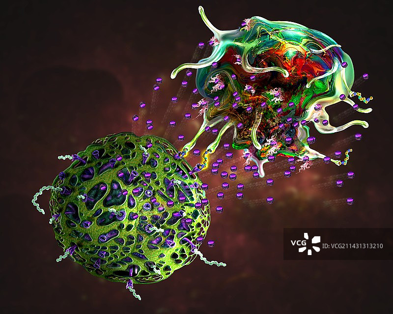 T细胞攻击癌细胞插图图片素材