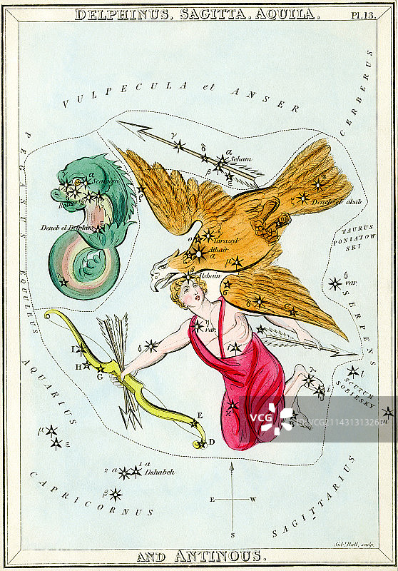 海豚座和天鹰座图片素材