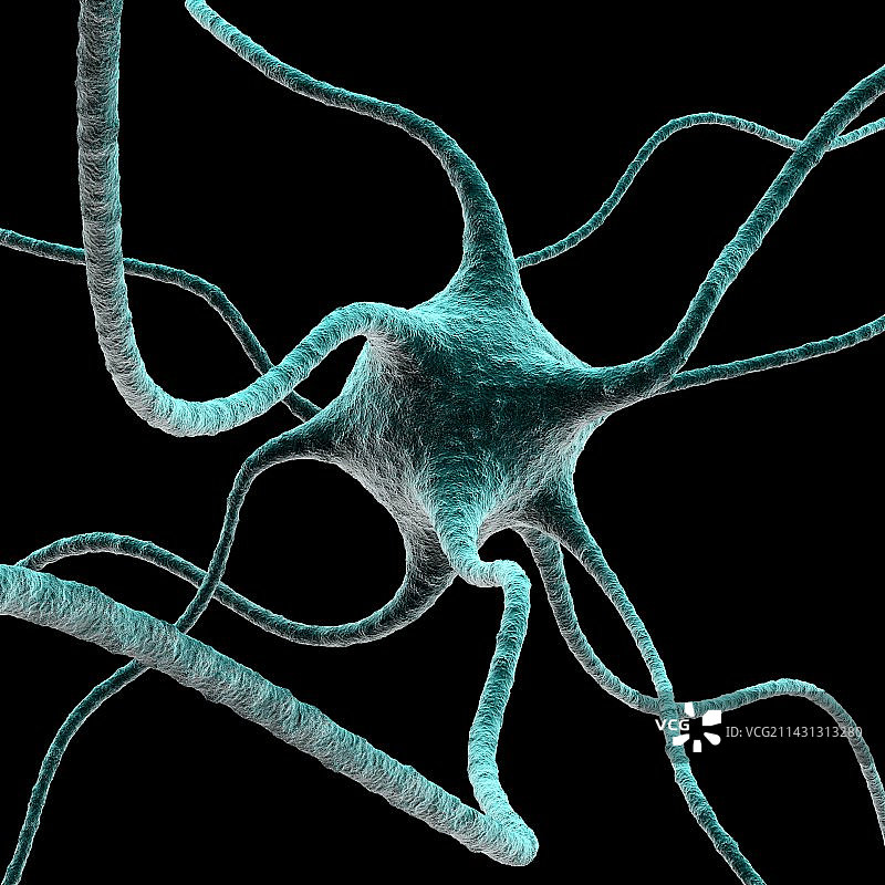 神经细胞艺术图图片素材