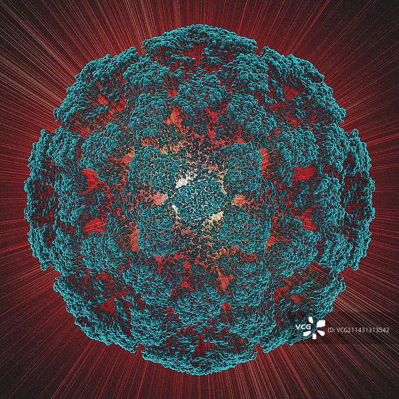 诺瓦克病毒颗粒图片素材