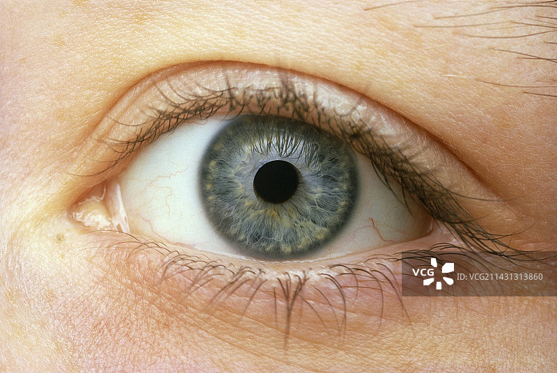 女人右眼，瞳孔略微收缩图片素材