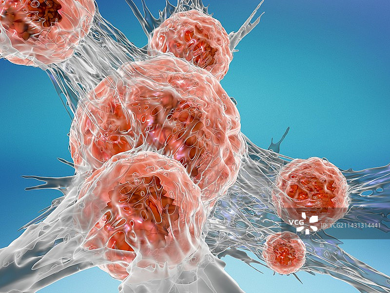 癌细胞，插图图片素材