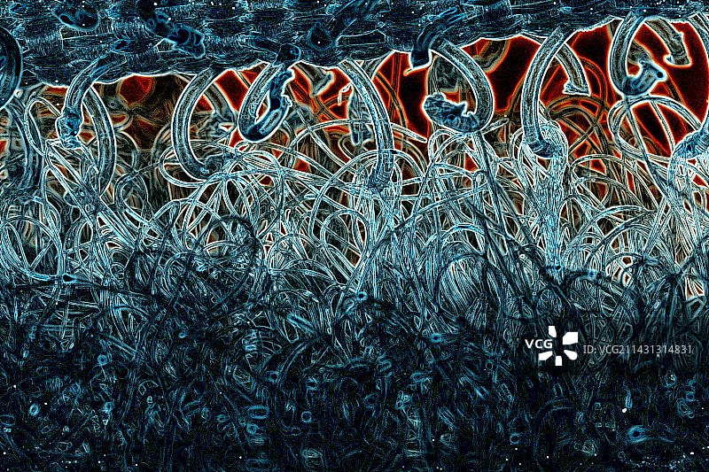 尼龙搭扣图片素材