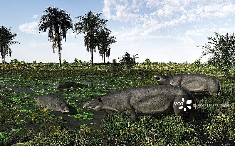 始祖兽哺乳动物艺术作品图片素材