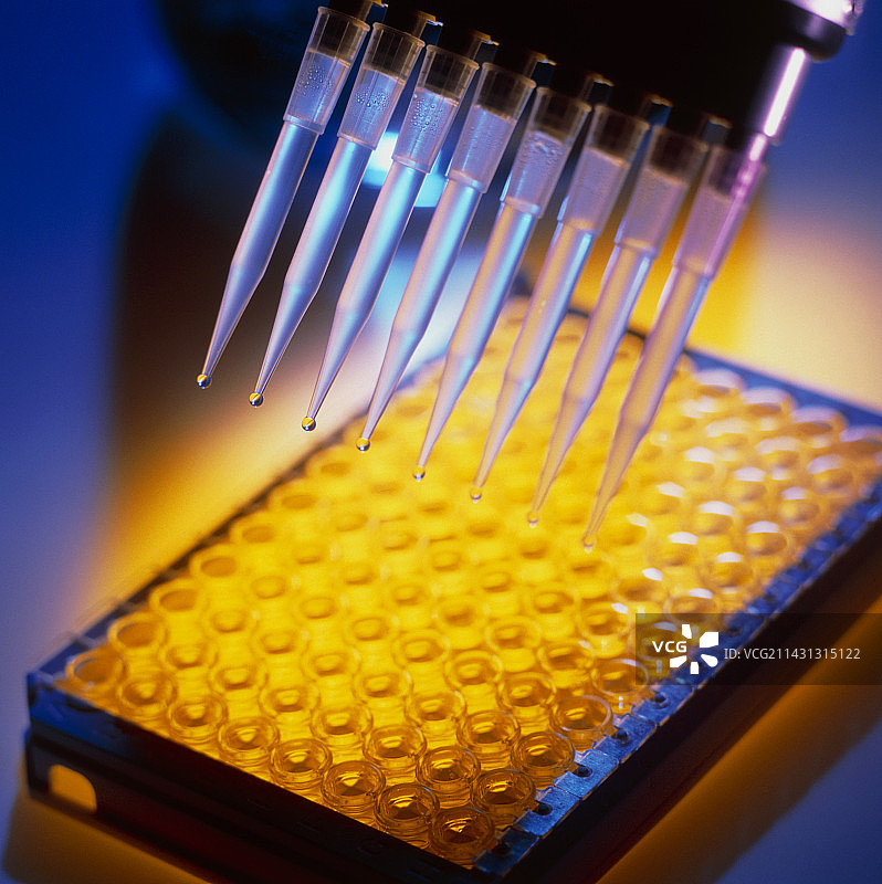 ELISA血液测试图片素材