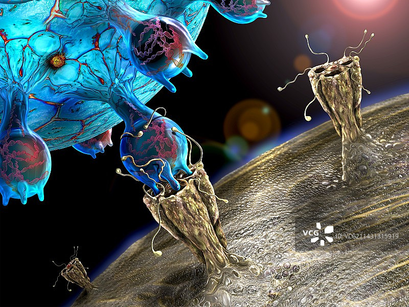 病毒感染人体细胞插画图片素材