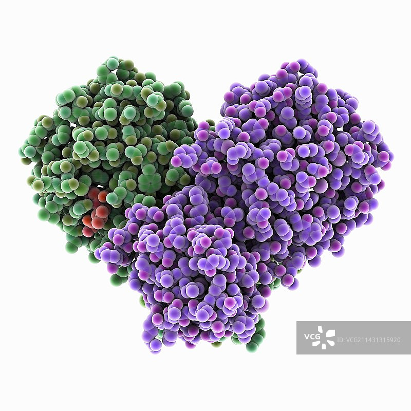 冠状病毒蛋白酶复合体插图图片素材