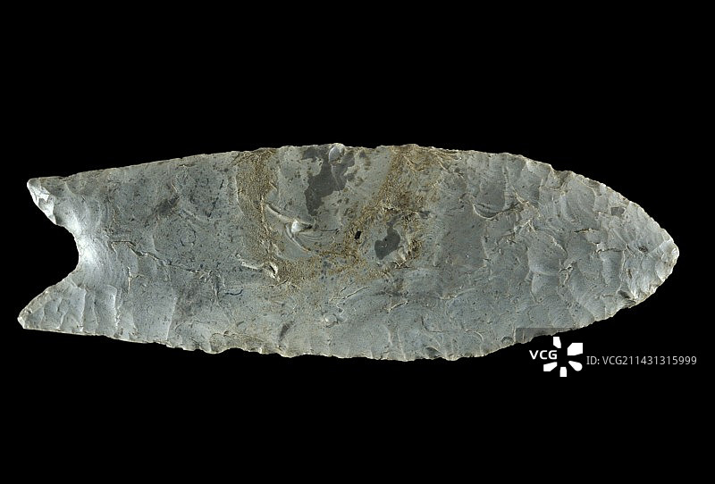 克洛维斯无槽尖图片素材