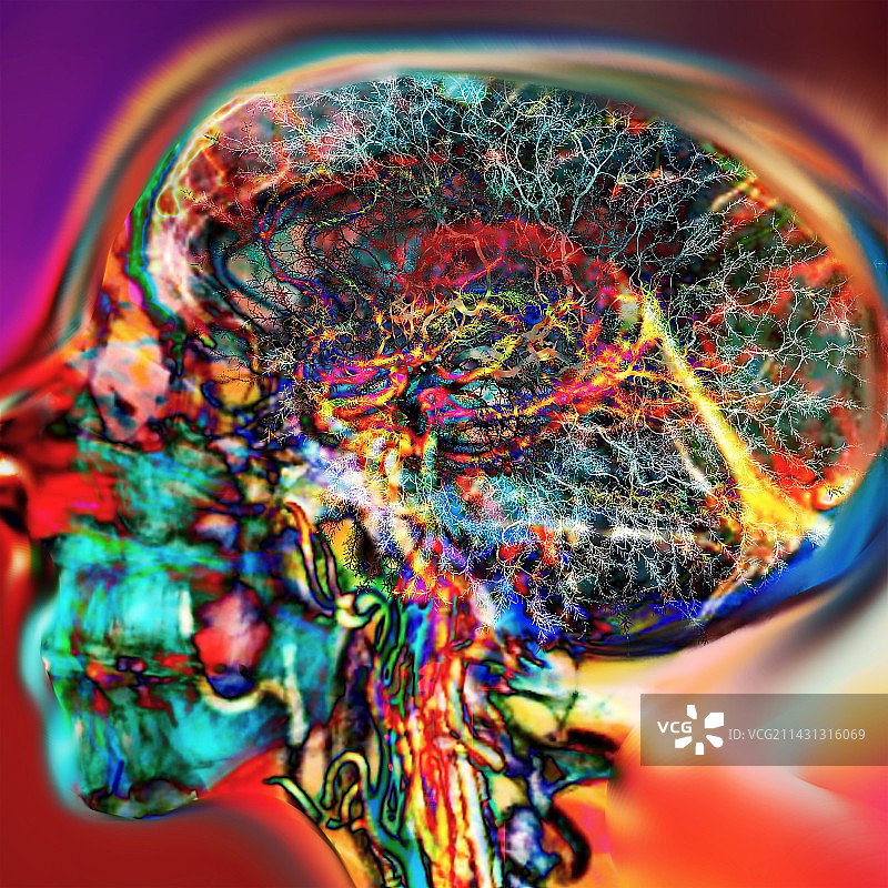 大脑树艺术作品数字合成图图片素材