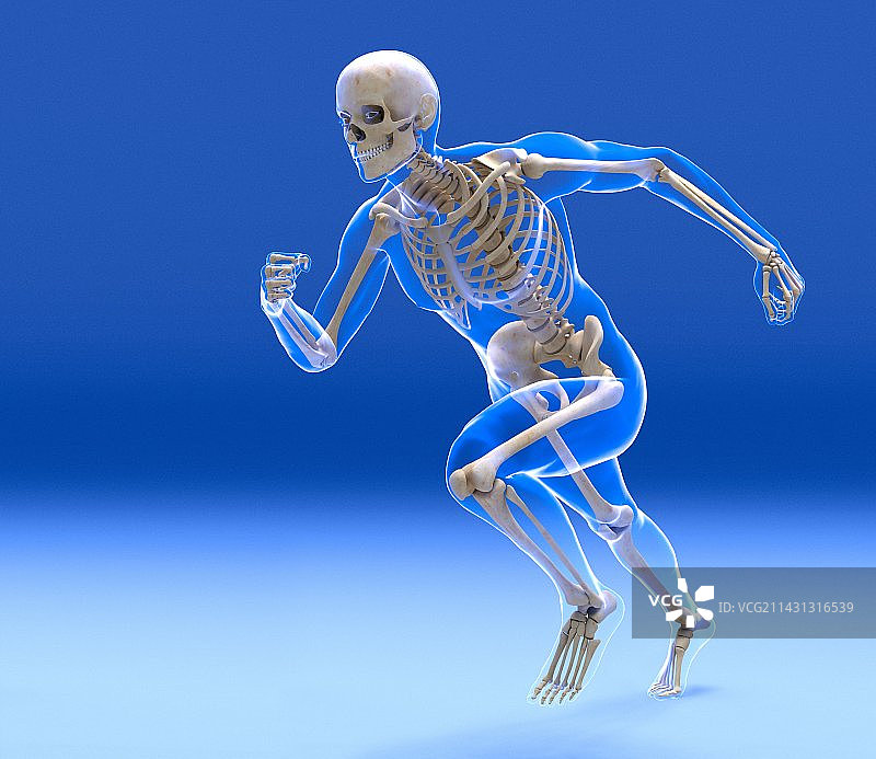 奔跑的骨骼人体艺术图片素材