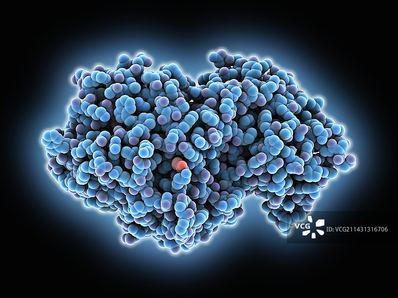 淀粉酶分子模型图片素材