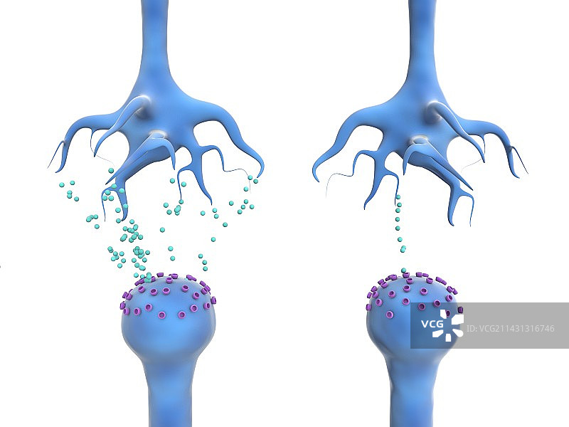 帕金森病神经元与多巴胺图片素材