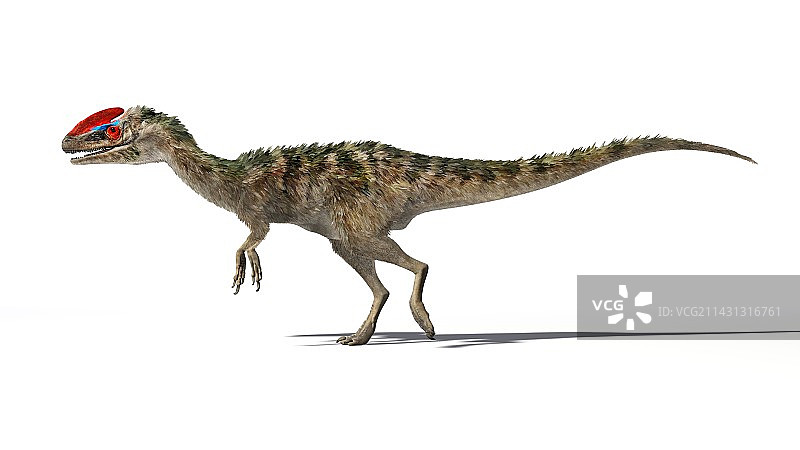 冠龙恐龙插画图片素材