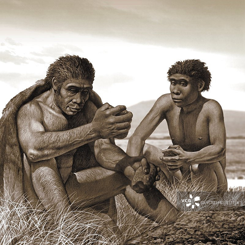 直立人艺术作品图片素材