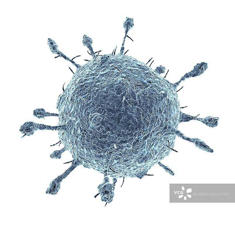 病毒图片素材