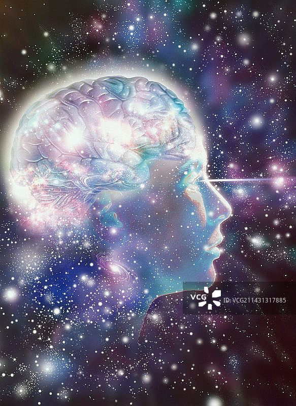 大脑图片素材