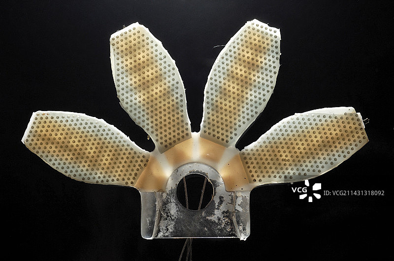 壁虎机器人足部图片素材