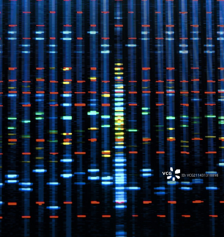 电脑显示器屏幕上的DNA序列图片素材
