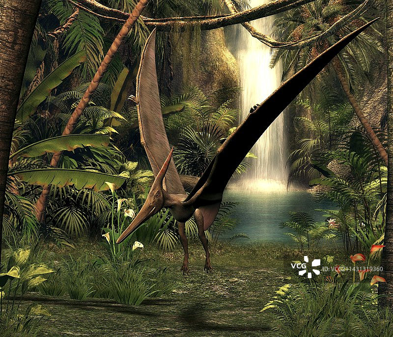 翼龙，艺术作品图片素材