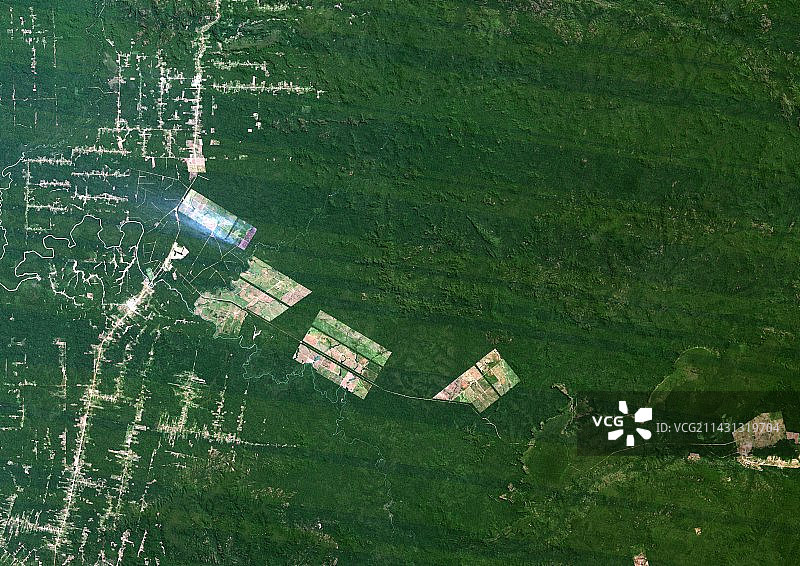 1985年亚马逊地区的森林砍伐图片素材