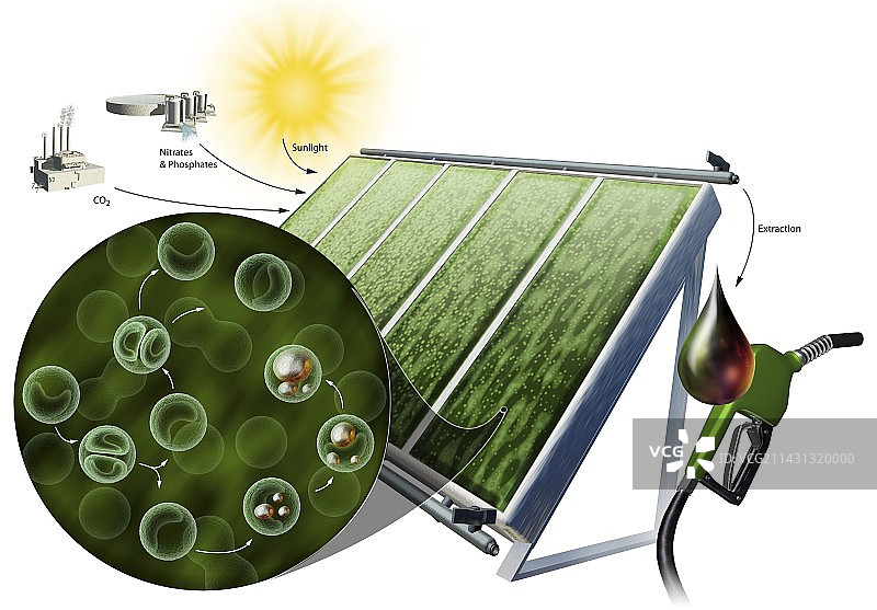 藻类生物燃料图片素材