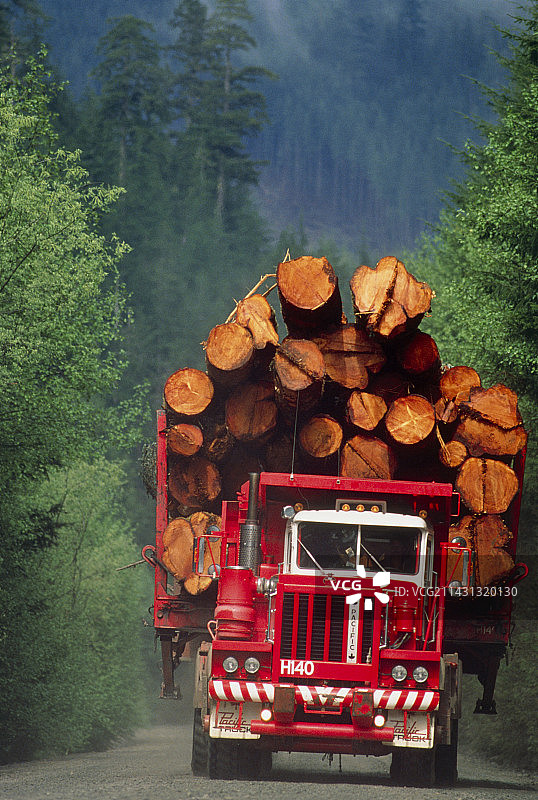 装满原木的伐木卡车图片素材